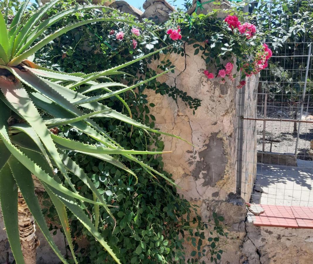 شقة La Casa In Campagna Chiesa Nuova  المظهر الخارجي الصورة